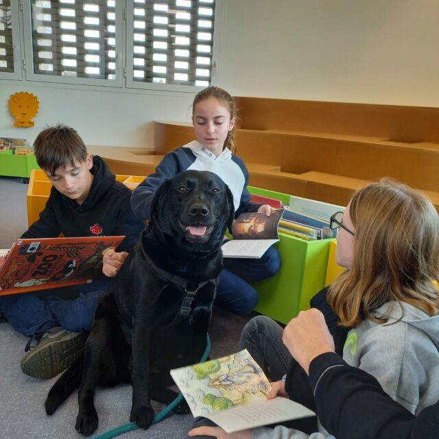 IMG-20241126-WA0017