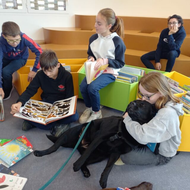 IMG-20241126-WA0018