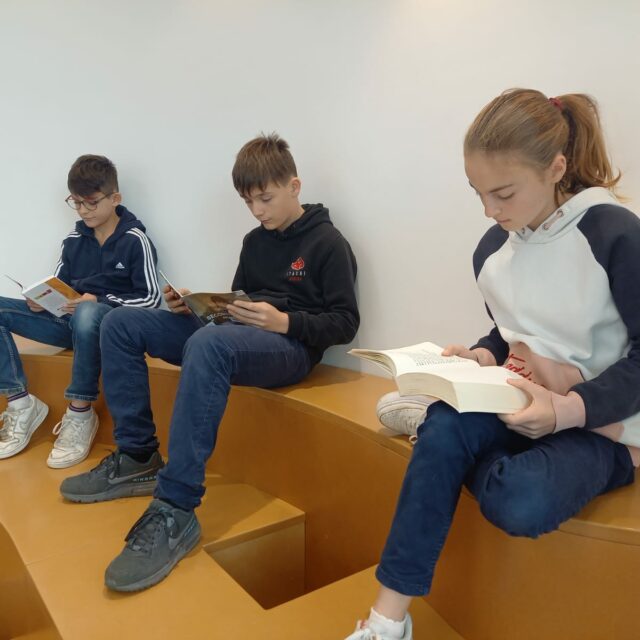 IMG-20241126-WA0024
