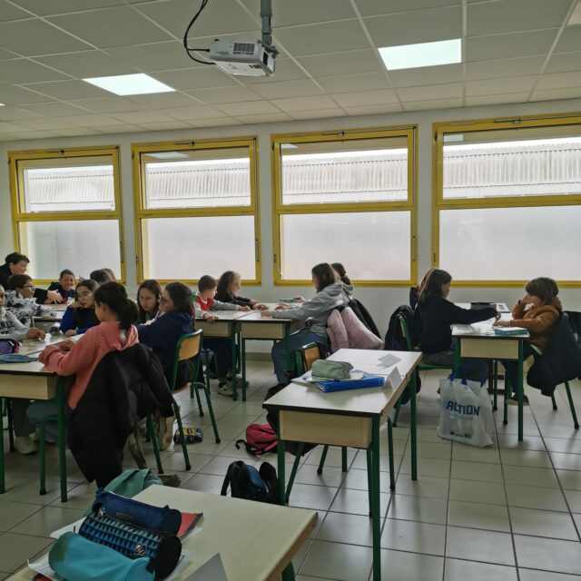 IMG-20241210-WA0004