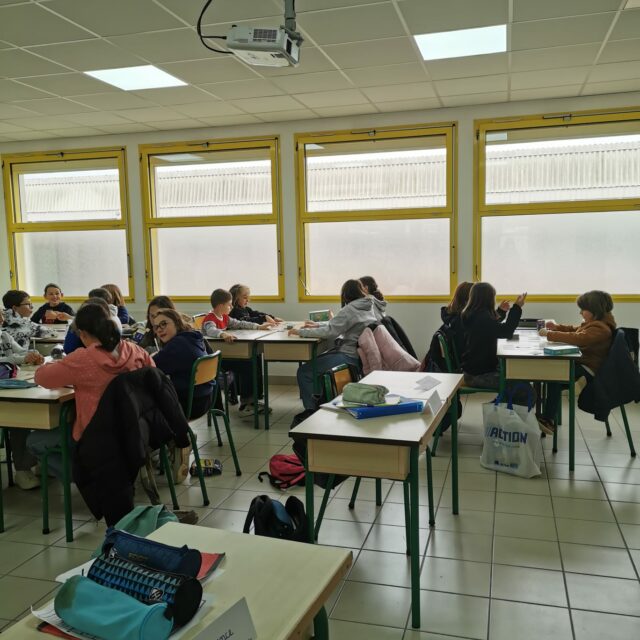 IMG-20241210-WA0005