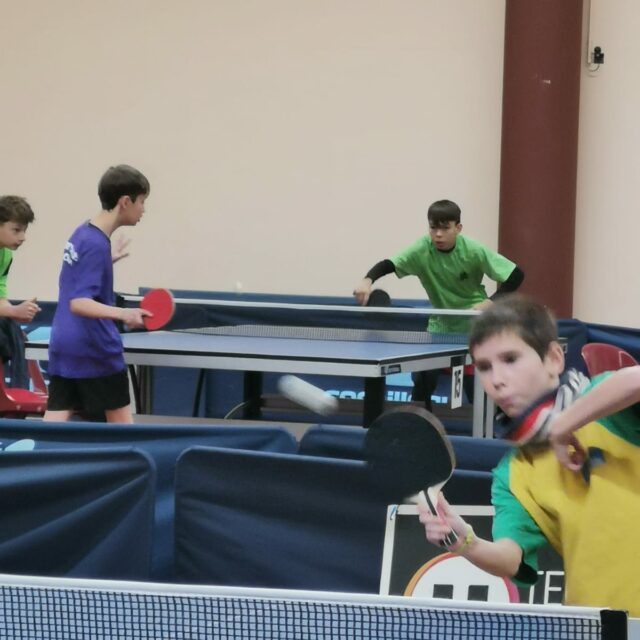 IMG-20250115-WA0011
