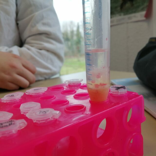 IMG-20250206-WA0003