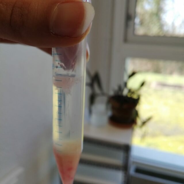 IMG-20250206-WA0017