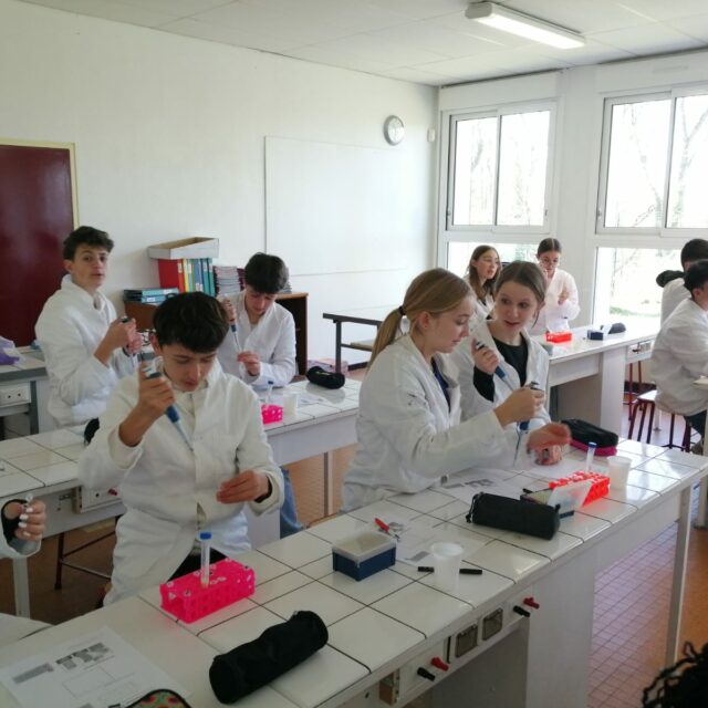 IMG-20250206-WA0018
