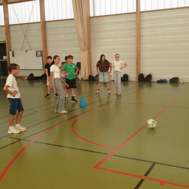 IMG-20260624-WA0012